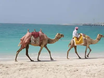 two men riding camels on the beach at ONE Bedroom with Sea view in Dubai Marina - Z1106 in Dubai