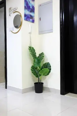 a plant in a black pot next to a door at LUXURY 1BED MARINA VIEW JBR BEACH POoL PARKING in Dubai
