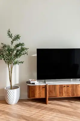a flat screen tv sitting on a wooden entertainment center with a plant at Sleek and Modern Stay in Dubai Hills in Dubai