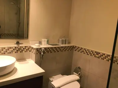 a bathroom with a sink and a toilet at 2 bhk 3 mins in down town in Dubai