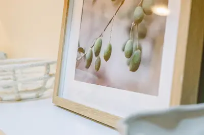a picture of a branch with green olives on it at Fabulous 1BR in Dubai Marina near Beach With Sea Views in Dubai