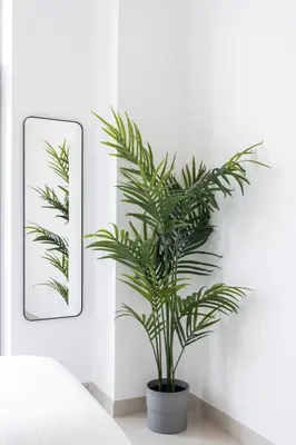 a green plant in a black pot next to a mirror at Stunning Views Spacious 3BR Dubai Marina in Dubai