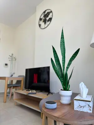 a living room with a potted plant on a table at Vibrant studio - 15m to marina in Dubai
