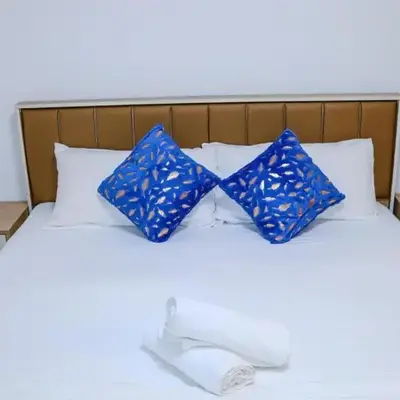 Luxurious Studio Apartment