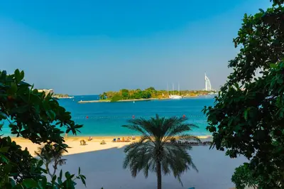 a beach with a palm tree and the ocean at Bright 2 Bedroom Apartment, Beach & Pool Access in Dubai