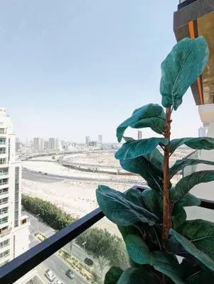 a plant on a balcony with a view of the beach at Modern Luxury Fully Furnished 1BH Apartment in Binghatt Nova JVC - Easy Access to JBR, Circle Mall & Dubai Hills Mall in Dubai