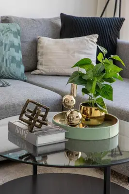 a coffee table with a plant and books on it at Frank Porter - Avencia 44 in ‘Ūd al Bayḑāʼ