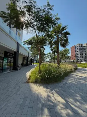 two palm trees in the middle of a sidewalk at Azizi Rivera 33 in Dubai