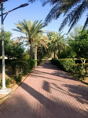 a brick path with palm trees in a park at PurityStaysDXB in Dubai