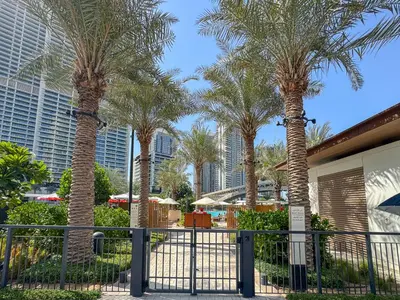 a group of palm trees in front of a fence at Elegant 1BR with Pool, Gym Access and Kid's Play Area in Dubai
