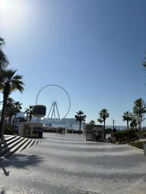 a ferris wheel in the background with palm trees at Horizon JBR in Dubai