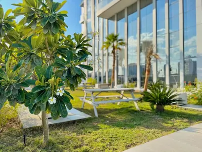 a park with a picnic table and palm trees in front of a building at Brand New-Fully Furnished Classy Studio In JVC in Dubai