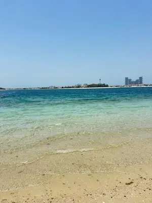 a view of the ocean from the beach at Fleur Star Apartments in Dubai
