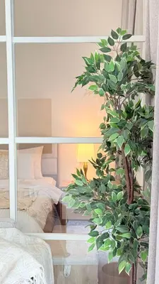 a reflection of a bedroom in a mirror with a tree at One bedroom Full view Dubai Hills in Dubai