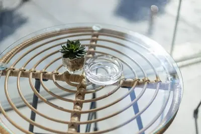 a small plant sitting on top of a glass table at 2BR Next to Burj Khalifa& Dubai Mall in Grande Residence in Dubai