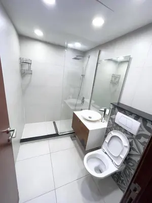 a bathroom with a toilet and a shower and a sink at Pinnacle marina in Dubai