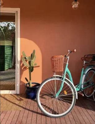 a blue bike parked next to a house with a cactus at Palm Oasis Guest House in Dubai