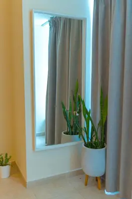 two potted plants sitting in front of a mirror at Urban 1BHK Apartment with Sea View in Dubai