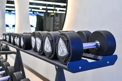 a row of dumbbells on a rack in a gym at Golden Stays - Brand New JVC Studio I Modern & Fully Furnished in Dubai