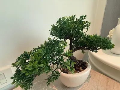 a plant in a white pot on a table at Highend Seven Palm 1BR Private Beach and Infinity Pool in Dubai