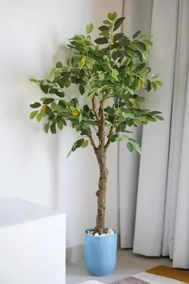 a small tree in a blue pot in a room at Spacious 1BR Burj Crown Downtown in Dubai