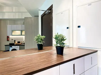 two potted plants sitting on a counter in a kitchen at Stylish 1-Bedroom-Sleeps 4- Apartment -Bayz by Danube, Business Bay-29 in Dubai