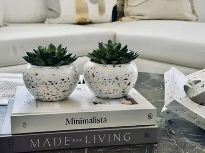 two white vases with plants on top of books at Sky 2br Sanctuary With Plunge Pool Gym Parking! in Dubai