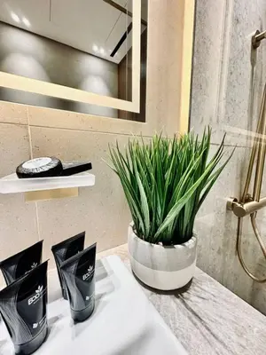 two plants sitting on a counter in a bathroom at Serene Canalfront Studio Apt With Private Jacuzzi! in Dubai