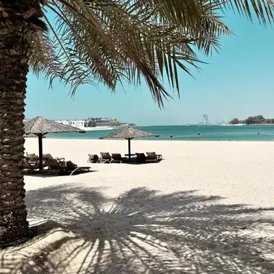 Palm Paradise Walk to Beach
