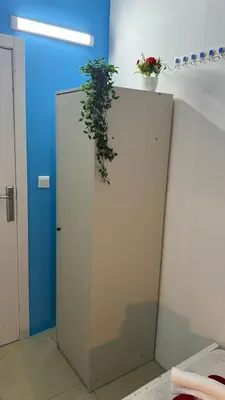 a plant sitting on top of a partition in a room at Solo Cabin Room in Tecom Barsha Heights in Dubai
