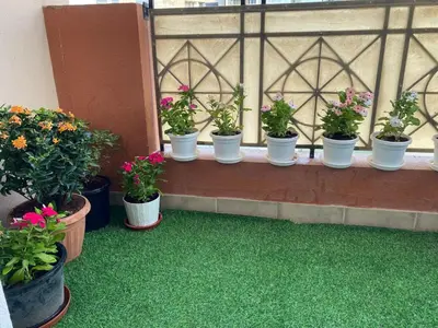 a row of potted plants sitting on a window sill at Studio with homely cozy and positive vibes in Sabkhah