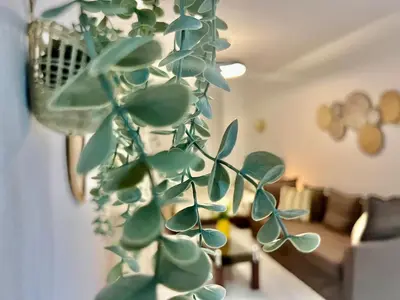 a green plant in a living room with a couch at Karama stunning unit for 4 in Dubai