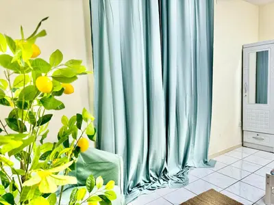 a blue curtain in a room with a plant at 5 mins walk to Burjuman metro in Dubai