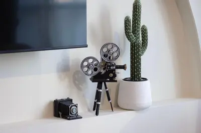 a camera and a cactus on a shelf at Stunning 2BR with Panoramic Burj & Fountain view in Dubai