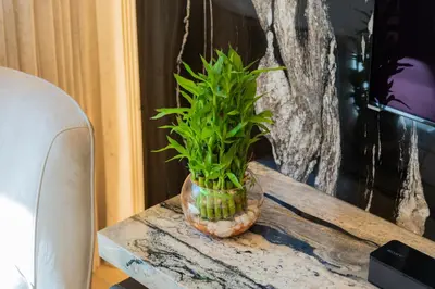 a plant in a glass vase on a table at Elite Escape - 1 BHK Getaway in Azizi Riviera 18 in Dubai
