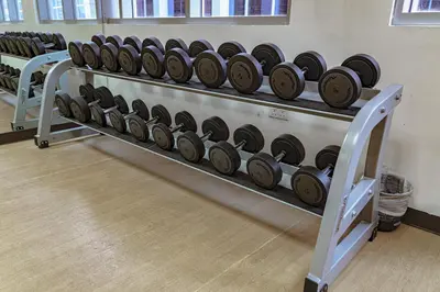 a row of dumbbells on a rack in a gym at Modern 2BR Apartment at JBR in Dubai