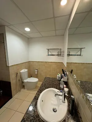 a bathroom with a sink and a toilet at Alsahel Vacation 1 in Dubai