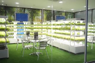 a room with tables and chairs and plants on shelves at Treppan Hotel & Suites By Fakhruddin in Dubai