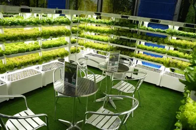 a room with tables and chairs and plants at Treppan Hotel & Suites By Fakhruddin in Dubai