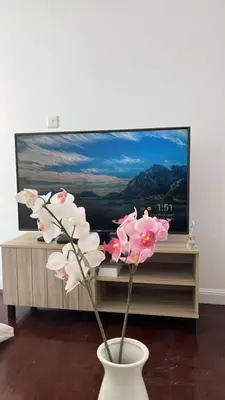 a vase with pink flowers in front of a tv at Zing Holiday Home in Dubai