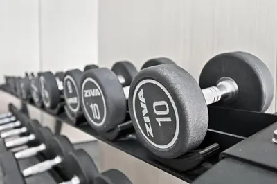 a row of black dumbbells in a gym at Dusk by Binghatti by Rentujemy in Dubai