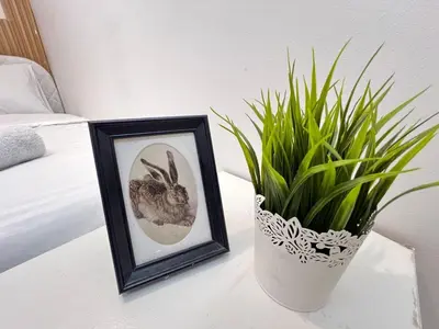 a picture of a rabbit on a table next to a plant at Solo space Partition room In Barsha Heights Tecom in Dubai
