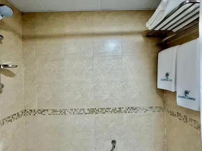 a bathroom with a shower with a tiled wall at Cosmos Living Majestic Studio GCV2 in Dubai