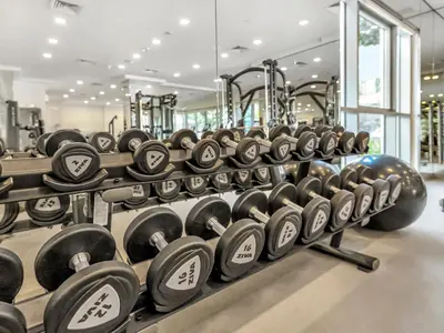 a row of dumbbells in a gym at The Boulevard Central Suite Near Burj Khalifa in Dubai