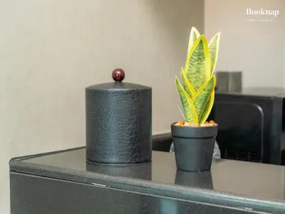 two plants sitting on top of a desk at Luxury 1BHK Apartment at DAMAC Prive A, Business Bay in Dubai