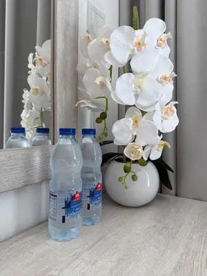 two bottles of water and a vase with white flowers at Palm Jumeirah, panoramic free pool,beach in Dubai
