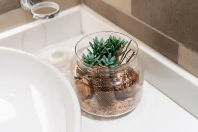 a glass jar with a plant in it on a sink at Palm Jumeirah, panoramic free pool,beach in Dubai