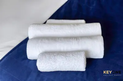 two rolls of white toilet paper on a blue plate at Majestine Living Stylish Studio with Canal View in Dubai