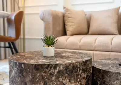 a living room with a table with a potted plant on it at Luxury 1 BR Apartment with Private Jacuzzi in Dubai