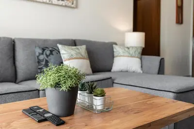 a living room with a couch and a table with plants at Elegant 2Bhk Panorama Apartment in Dubai